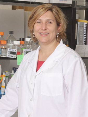 Sarah F. Hamm-Alvarez, PhD