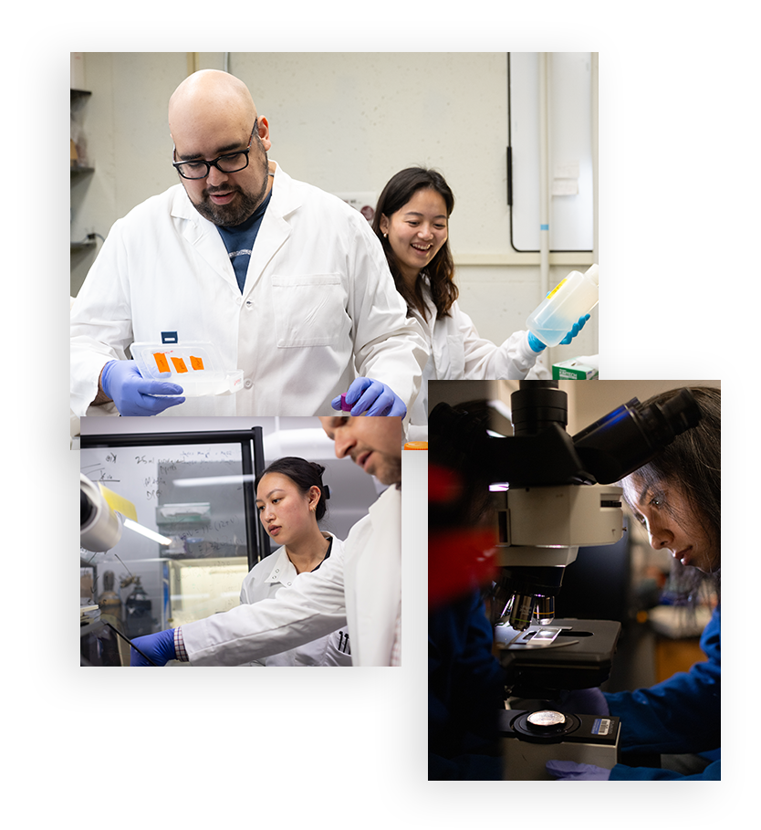 PhD students collage