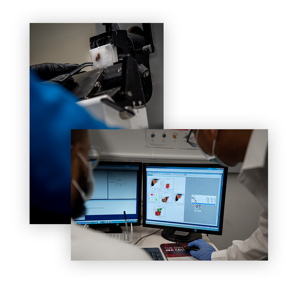 Histology Lab collage