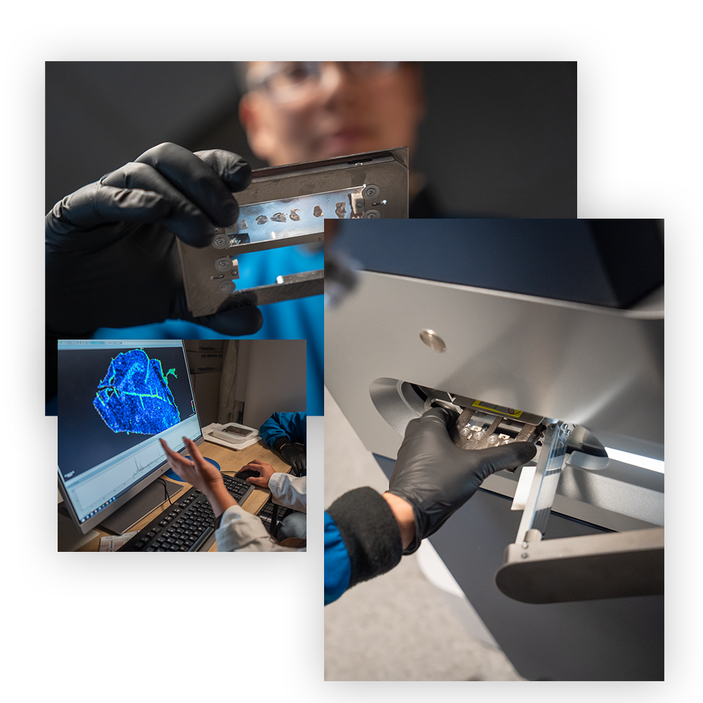 Mass Spec core collage of images