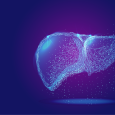 Atriol, which disrupts cholesterol binding, has promise as a drug candidate to treat an obesity-linked condition that can lead to liver failure. (Illustration/Adobe Stock)